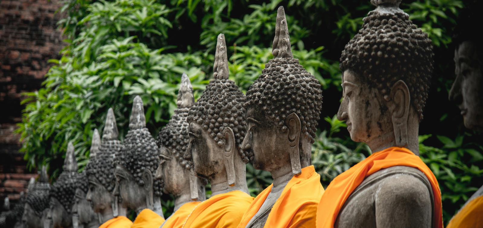 The Harmony of Daoism and Well-Being